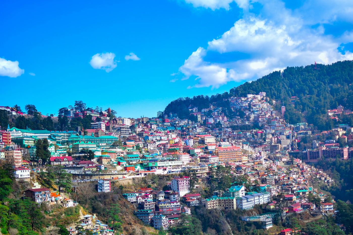 Snow-dusted deodar pines and a Himachal hill village
